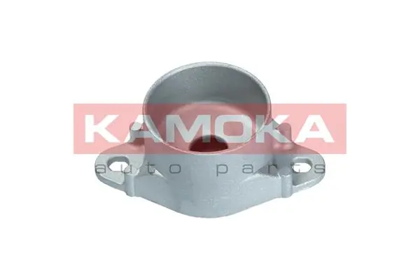 209131 Kamoka