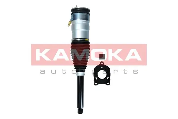 Comprar Amortiguador trasero Tesla Model S  5YJS