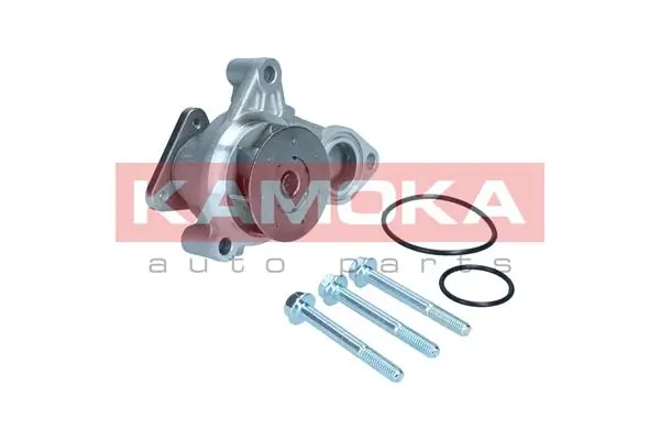 T0322 Kamoka