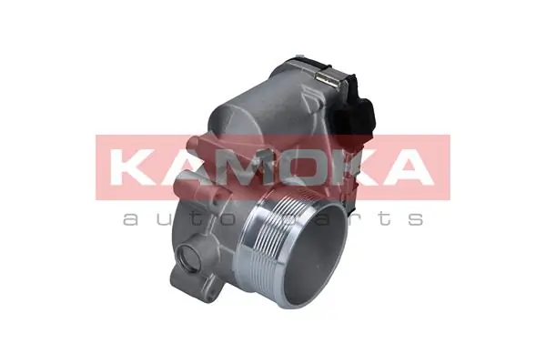 112025 Kamoka