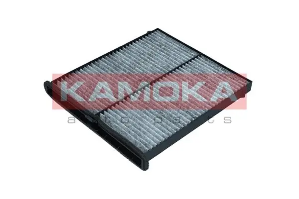 F512401 Kamoka Filtro antipolen