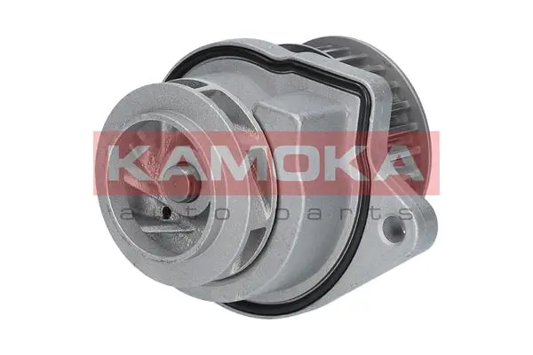 T0248 Kamoka
