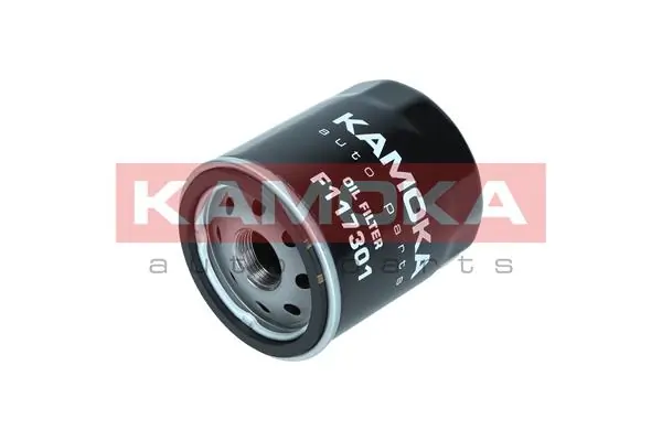 F117301 Kamoka