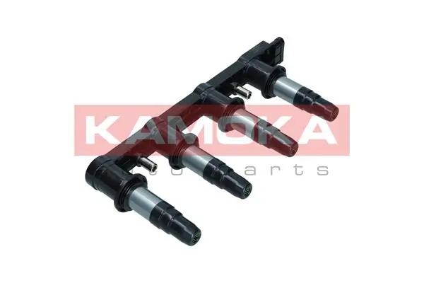 7120146 Kamoka