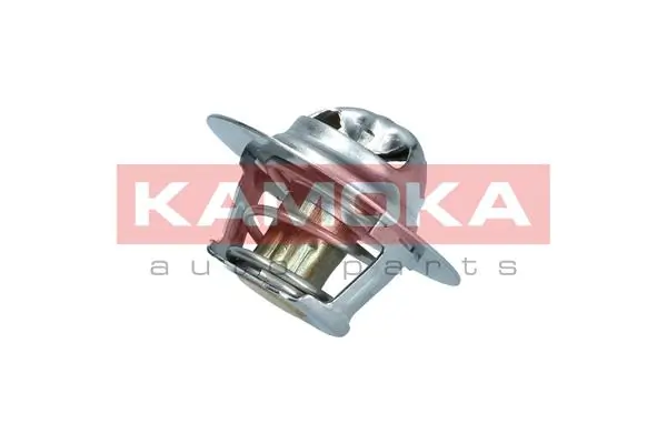 7710076 Kamoka