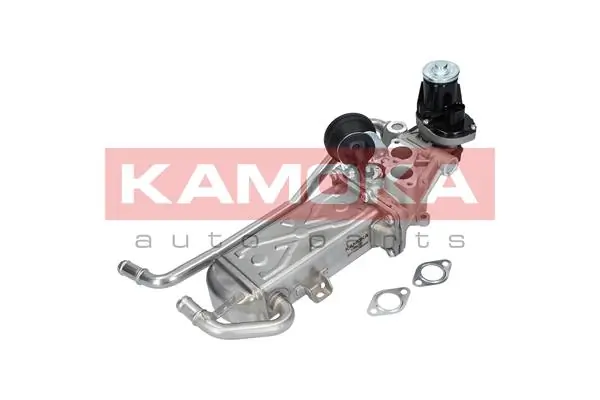 19070 Kamoka