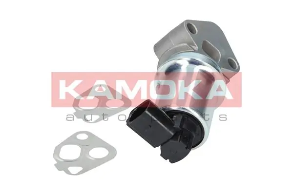 19006 Kamoka Válvula EGR