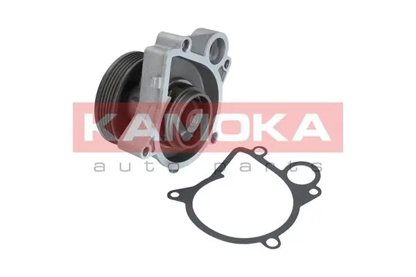T0061 Kamoka