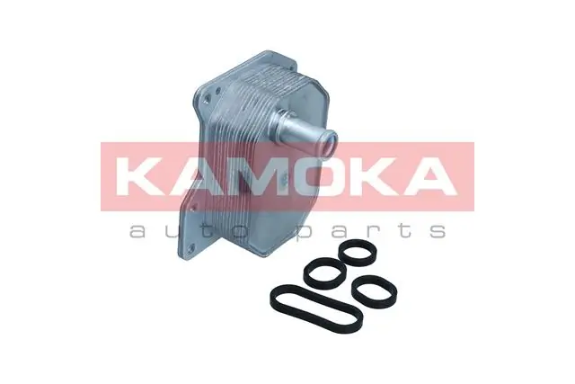 7730040 Kamoka