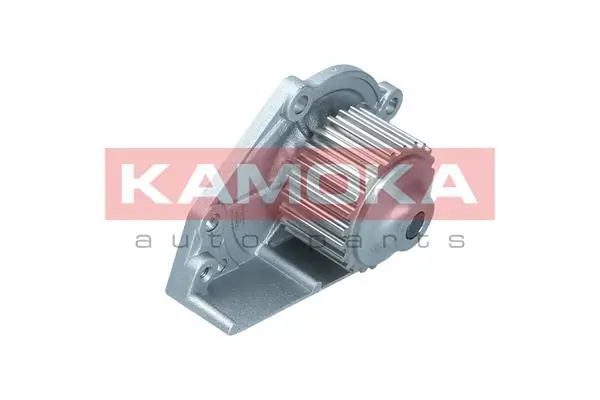 Motor de agua Rover 75 