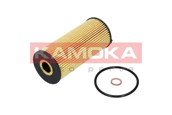 F110901 Kamoka