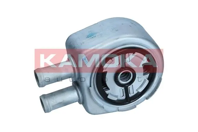 7730098 Kamoka