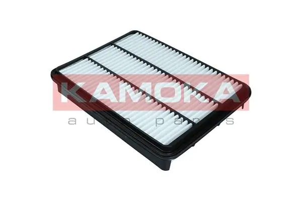 F248701 Kamoka