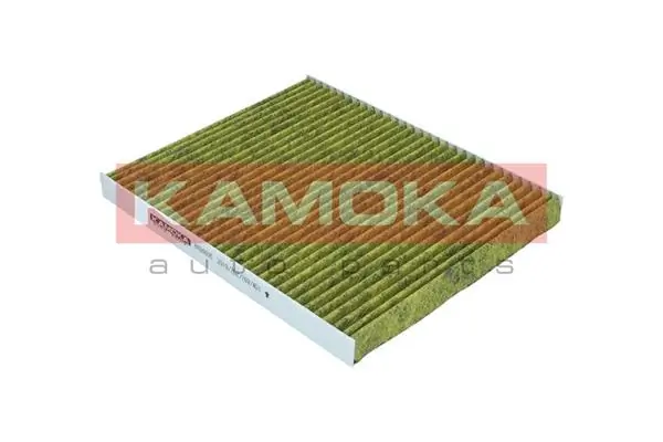 6080095 Kamoka