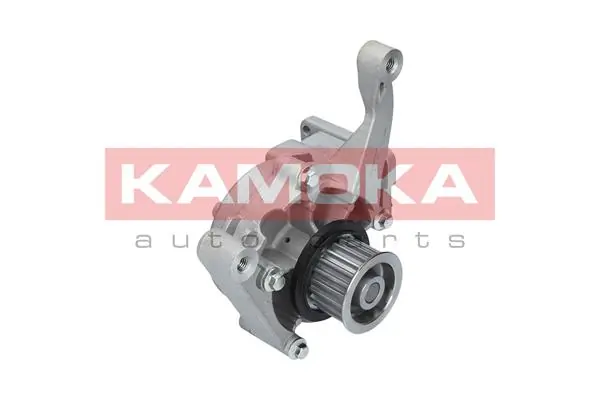 T0167 Kamoka