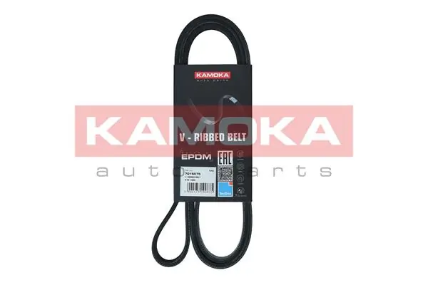 7015075 Kamoka