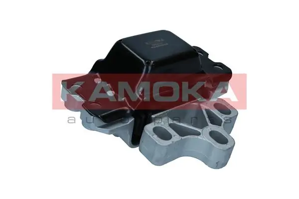 890243 Kamoka