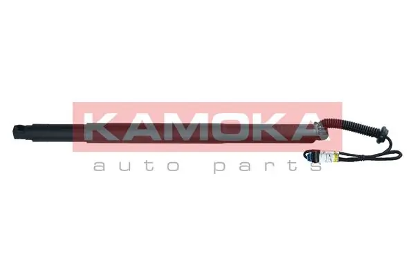 7094009 Kamoka