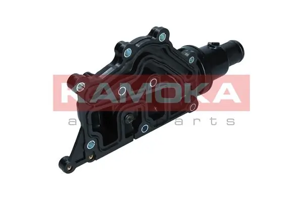 7710179 Kamoka
