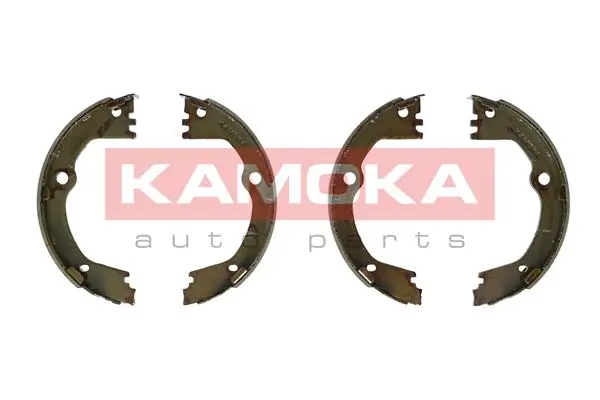 JQ212073 Kamoka