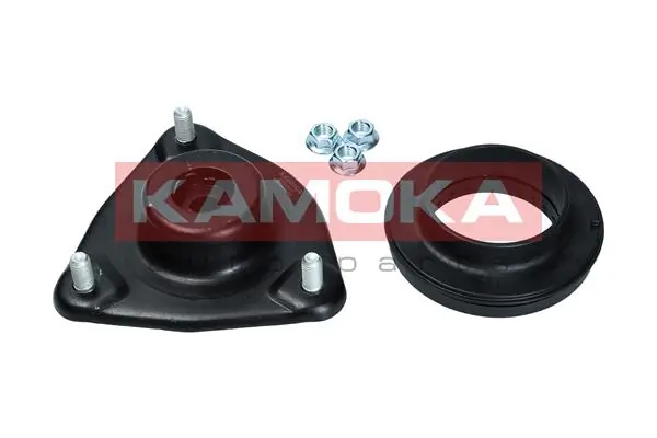 209251 Kamoka