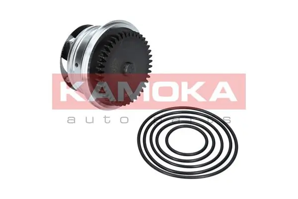 T0273 Kamoka