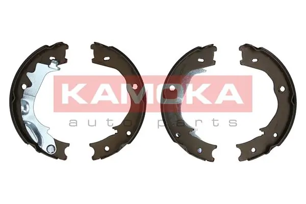 JQ212057 Kamoka
