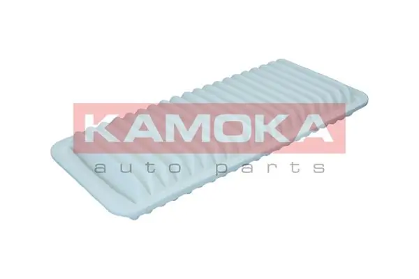 F260301 Kamoka