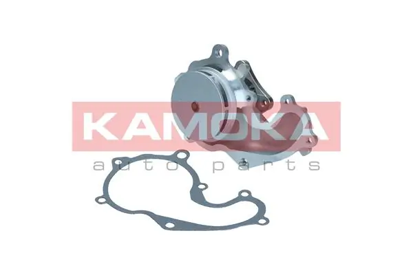 T0128 Kamoka