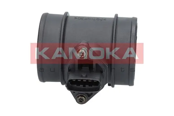 18011 Kamoka
