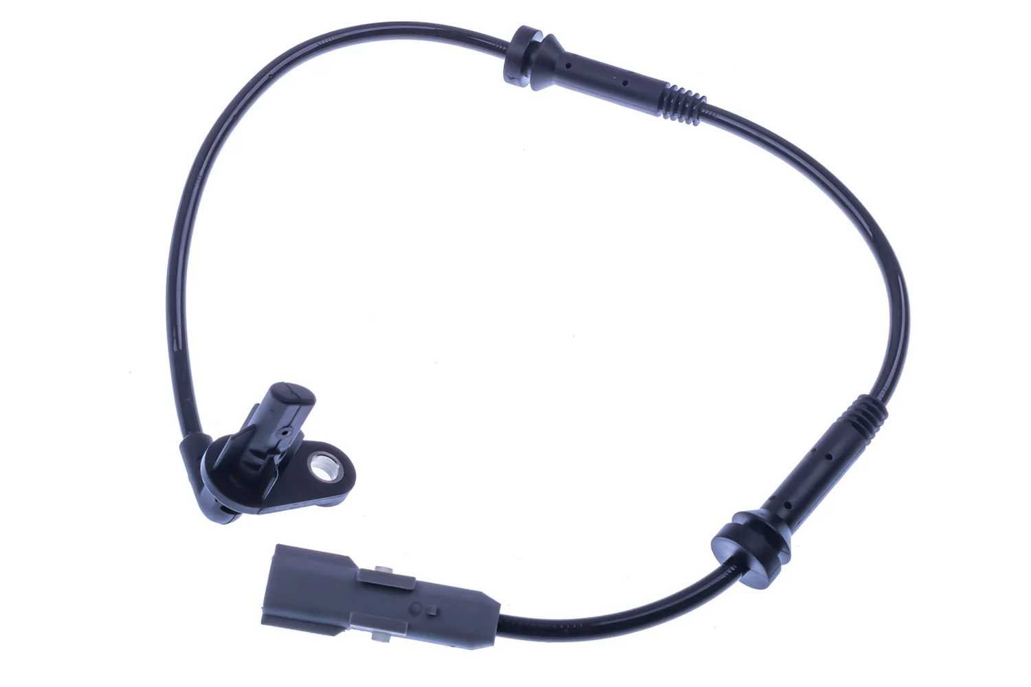 B180208 Denckermann
