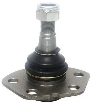 D110169 Denckermann