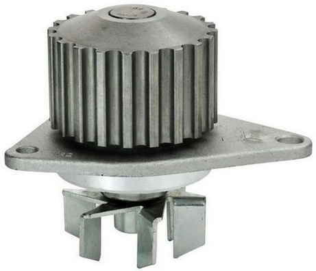 Bombeadora de agua Citroen ZX  desde 29,76 €