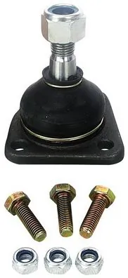 D110135 Denckermann