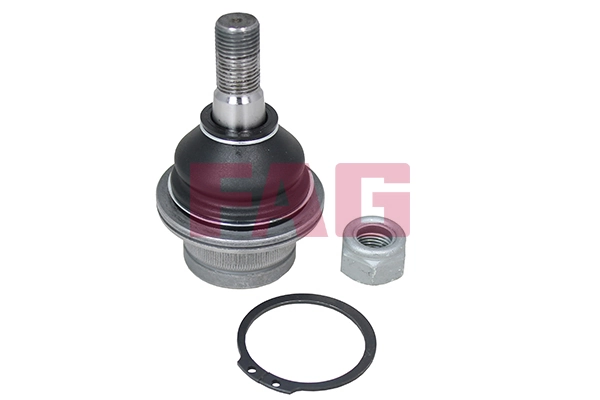 Rótula inferior de suspensión Mazda ZZP034550B precio, desde 21,05 EUR