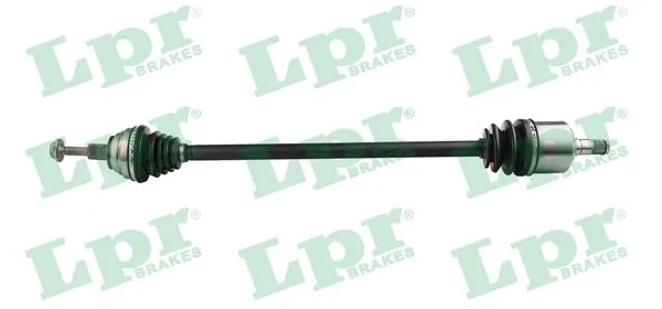 DS60035 LPR