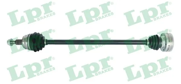 DS51066 LPR