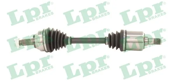 DS52228 LPR