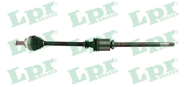 DS37074 LPR