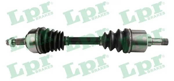 DS16144 LPR