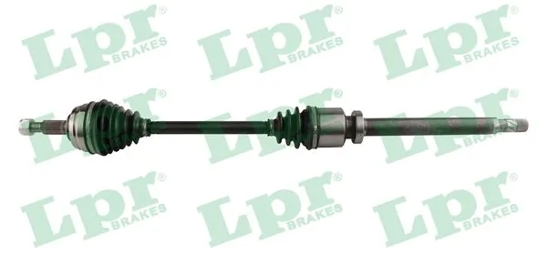 DS60823 LPR