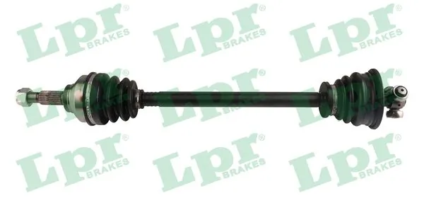 DS52215 LPR
