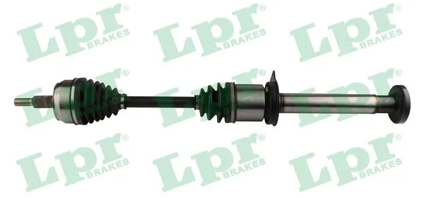 DS52589 LPR