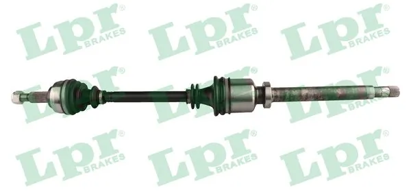 DS52256 LPR