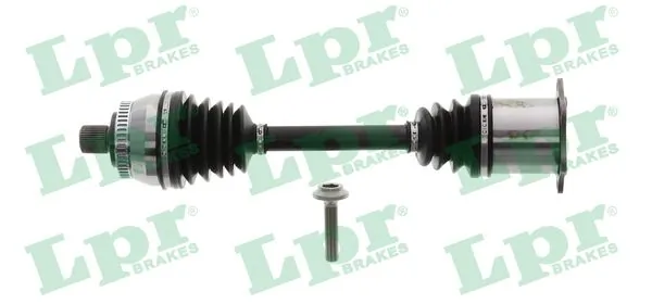 DS21107 LPR