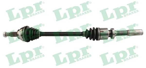 DS52241 LPR