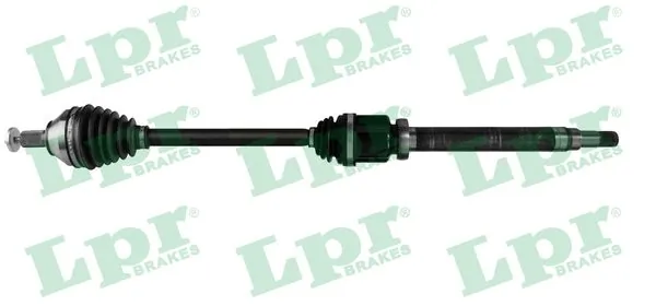 DS52572 LPR