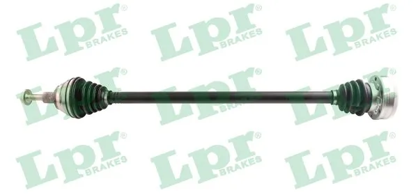 DS52194 LPR