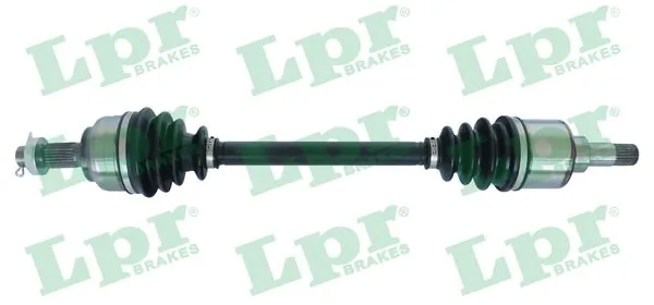 DS52123 LPR