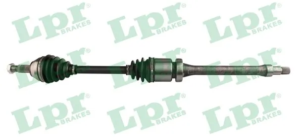 DS21070 LPR